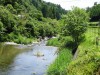 →あたりか日向灘上空を飛んでいるのでしょうか。写真は蛍舞う、私の実家の小丸川の支流。川向うは明治10年8月末(城山での自決1カ月前)に西郷さんが通過した道路であります。今年の蛍の