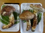 今年も山口から松茸が飛んできました。今シーズンの松茸は不作と言われていましたが、大雨によって全国でにょごにょごと生えてきたそうで。「雨後の松茸」なのです。松茸飯に土瓶蒸し