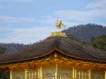 金閣寺など京都などの文化財は1994年。私が訪れたのは水曜日の朝早い開門前でしたが、慈照寺の比にならないほどの人出で、ここでも日本人を外国人が圧倒。写真はここでも柿(ほこら)が目
