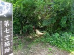 大合戦場がこの高城だったのです。安土城以前の城は云うに及ばず粗末な構造でしたが、何故に高城が「不落の城」なのかは自然の地形に拠るところが大きいのです。南は小丸川、そして城