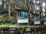 最澄は近江の人で、比叡山に入り法華一乗思想に傾倒し、788年に根本中堂を創建した。804年に入唐、翌年帰国し、天台宗を開創した人物。死後ではあるが、清和天皇より日本最初ぼ大師号伝