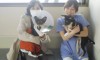 「我が家のペットが一番かわいい。」と本心から思っている飼い主は意外と多い。「オバマ」君や「由紀夫」君の「ドン」就任時の支持率よりも高いことは間違いない。もしやではなく、良