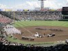 は兵庫県西宮市だが梅田から特急電車で15分。擂鉢満員の観客を阪神電車ひとつで迅速に吐き出すパワーは立派だ。試合が終って30分後には梅田に立っている) 写真は閉会式の光景。勝ち負け