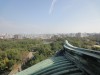 信長はここを居城としなかったということだ。大手道脇にある「傳秀吉住居跡」などのものを含めると5百もあろうかという石段、それも急峻。登山に1時間15分を要す。写真は55.6mの名古屋城
