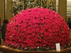 魅惑の帝国ホテルロビーの生花。今回は鮮やか過ぎる薔薇のプリザーブドフラワー(preserved flower)。新鮮な生花を脱水作用がある脱色液に漬け、花を取り出し、潤滑液入り着色液に漬け、→
