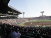 明徳のサヨナラで結着したが、親仁は13回までしか観戦できず。そう、京都の居酒屋の予約時間が切迫していたため・・・後ろ髪を引かれるおもいで甲子園を後に。