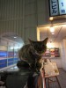 この招き猫を見かけたのは初めて。先を急ぐことも無かったが、「猫の御蔭で客足は伸びた」かどうか聞きそびれた。すでに焼酎が回り過ぎていて気も回らなかったのであろう。最近めっき