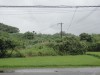 多雨で唯でさえ日照不足なのに、今回の7月台風。写真は9日、午後3時現在の病院前の水田。例年なら今月末には稲刈りの筈が、果たして十分な結実が望めるのであろうか。先祖代々の百姓の