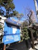 で早くから製品化されたフィラリアをはじめとした線虫類の駆除剤。大村先生の発見開発した薬の恩恵を犬猫も多大に享受しまいたぞ。写真は今回のノーベル賞受賞・大村研究室のある白金