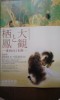 「大観・栖鳳」展のパンフレット。下が大正13年に描かれた重要文化財・「斑猫」で竹内栖鳳作。上は横山大観が大正5年に発表した「作右衛門の家」。絵画鑑賞でも都会と地方の格差が歴然
