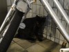 帰りました。写真はニシタチの西銀座通りで見かけた黒猫ですが・・・最近の猫ブームは凄いですね。犬に比べて飼いやすいので今まで動物を飼ったことのない人も多く来院しますね。その