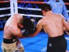 フランシスコ・バルカスに2015年、王者を奪取された。この試合のメインイベントでそのバルカスはKO負けしたため三浦との再戦は当分、消滅したか。それにしてもメキシコはじめ中南米の選