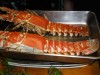 最近、ニシタチの居酒屋で食した箱エビ・・・・・・しこしこした噛みごたえのある、噛めば噛むほどエビ風味漂う美味ものでした。柄の割に実が少ないのが切なかったですね。十数年ぶり