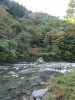 登場人物である。私が17歳くらいと思った薫は14歳という設定である。川端自身がこの作品を「私小説」としているからフィクションは少ないのではないか。大正7年10月30日、旧制第一高校寄