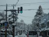 「居酒屋百名山」の「籠太」。ホテルからタクシーを呼んで直行。流石は名店だけあって、あれよあれよという間に満席ちかくになった。私には珍しく福島の純米酒を煽って、それでもなお