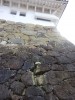 →のは池田輝政であり、要した期間は1601～1609年の丸8年。その後、1617年に本多忠政が入封。忠政の嫡男・忠刻は、7歳で秀頼に嫁いだ家康の孫娘(秀忠の娘)・千姫と結婚し、ここ姫路城で10年