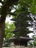 多いとされる・・・(余談ながら)。善通寺は空海の姓である佐伯家の菩提寺である。唐から帰国後の807年(大同2)から6年の歳月をかけて建立。長安の青龍寺を模している。真言密教の道場であ