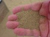 興味深々のありありだ。肝心の米子の繁華街「朝日町」は町の寂れに比例してか廃れているようでした。その活性度は、昼間に呑み屋街を散策すれば見当がつきます。昼間から仕込に励んで