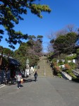 月に一度の旅であるから、目的地の選定には苦労する。何度も何度もあれやこれやと思案を巡らすのだが、選考には司馬さんの小説や「街道をゆく」、池波正太郎などその他の小説、テレビ