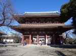 →費消の点から厳選が要る。以前に山岡荘八の「高杉晋作」を読んだことがあったので、山岡荘八をあたると「日蓮」があり、これじゃと思い行き先も池上本門寺に決定した。日蓮宗の開祖