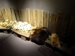 この2年半の「今月の旅」で、三内丸山遺跡と登呂遺跡を訪問した。前者は縄文前期・中期で、後者は弥生時代の集落跡である。調べるほどに(近代式)竪穴式住居に住んでみたいもんだな。囲