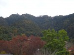 令和最初の大河「麒麟がくる」の主人公は明智光秀である。死没年は1582年(天正10)7月2日(6月13日)であるが、出生年は未詳である。光秀の若き日の行動は謎のなかであり、明らかなのは信長に