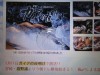 佐賀の呼子の「活きイカ」(ケンサキイカ=ヤリイカ)を生きて泳いだまま東京へ輸送し、呑んべぇーの胃袋を満足させる。長崎や鳥取でも同様な流通形態が流行り(?)つつある。魚の種類や数、