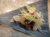 食感は悶絶ものだ。写真は天然物「シマアジなめろう」。小生はアジの刺し身は苦手だが、シマアジはどちらかと言うと好みの部類だ。シマアジの「なめろう」は生来初もので、想像した通