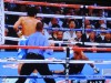 5月8日のパッキャオvsモズリー戦。10日、ビデオを見直してみた。2回の攻防から、パッキャオの一方的試合が始まっていた。左のボディー数発に、何と言っても跳び込んでの左ストレート。20