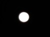 もっと絵になろうが・・・。写真は2011年9月13日、午前3時26分の月齢が15を超えたちょいと過ぎた「中秋の名月」。前夜はときどき降る「中秋の時雨」のため望む写真が撮れなかったが、明け