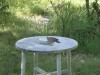 キジ鳩が数羽、拙庭に居付いてかれこれ数年だろうか。猫の餌食になった者も有れば、藤の低木に営巣して孵化させたものの台風で雛が吹き飛ばされた者、相棒に先立たれたのか振られたの