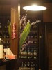 2月9日の土曜日、遅くにひとり二次会で立ち寄った「集」。閉店間際で既に看板の灯りは消され、入口の暖簾がひとりホロホロと酔払っているだけ。潜るとまだ2組がこれまたホロホロ。親仁