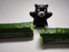 写真は西都の「百姓隊」の人に頂いた胡瓜。真ん中を手で折って、断面を押し当てると右の写真のようにくまモンが乗ってもへっちゃらにくっ付いて離れません。「土を育てる」のが百姓隊